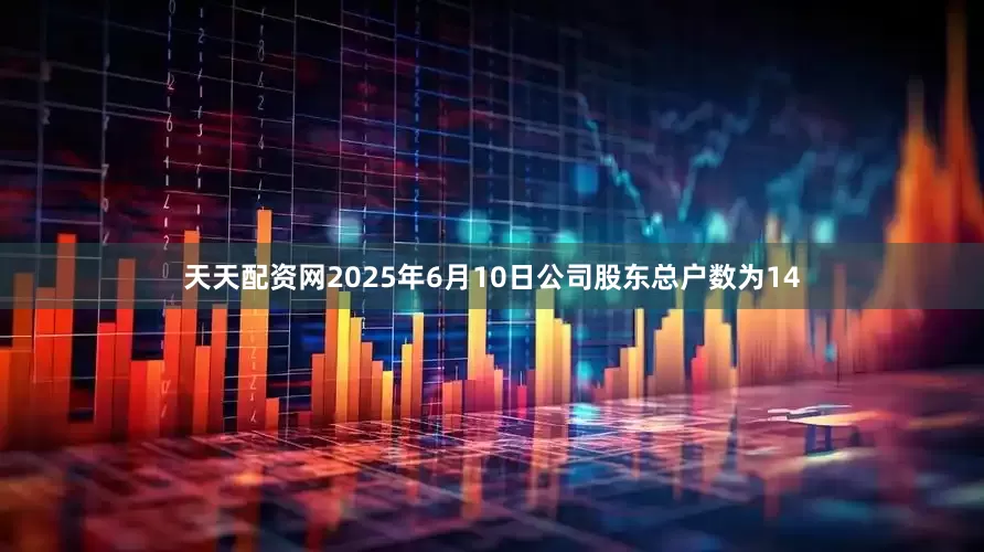 天天配资网2025年6月10日公司股东总户数为14