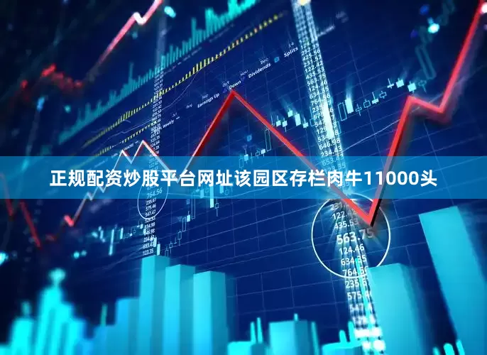 正规配资炒股平台网址该园区存栏肉牛11000头