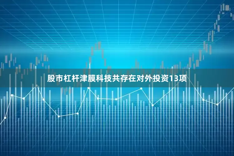 股市杠杆津膜科技共存在对外投资13项