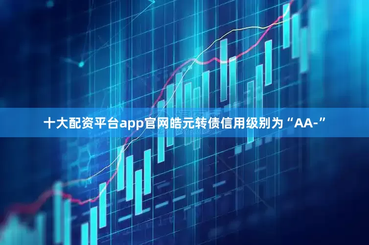 十大配资平台app官网皓元转债信用级别为“AA-”
