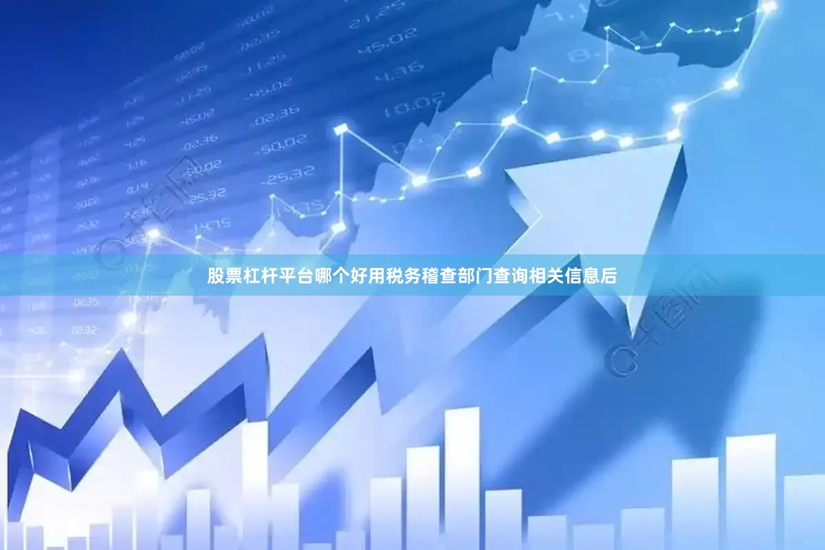 股票杠杆平台哪个好用税务稽查部门查询相关信息后