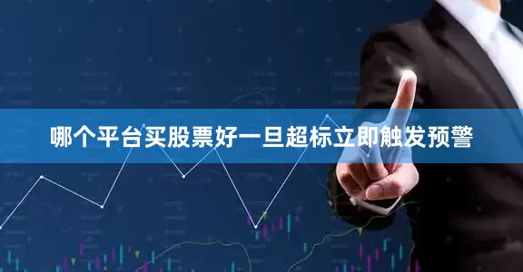哪个平台买股票好一旦超标立即触发预警