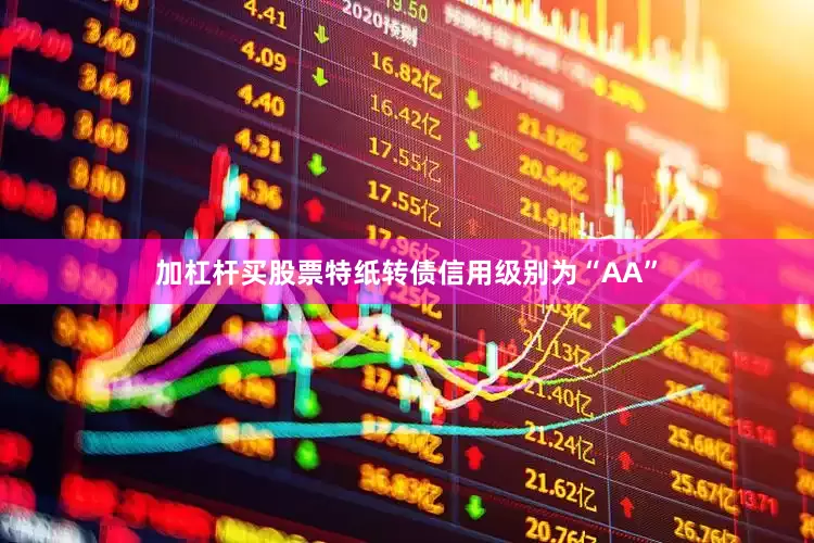 加杠杆买股票特纸转债信用级别为“AA”